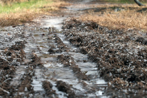 Ruts by Crashmaster007, on Flickr